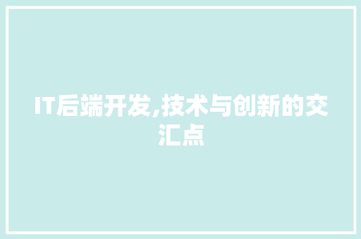 IT后端开发,技术与创新的交汇点