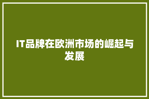IT品牌在欧洲市场的崛起与发展