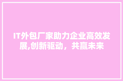 IT外包厂家助力企业高效发展,创新驱动，共赢未来