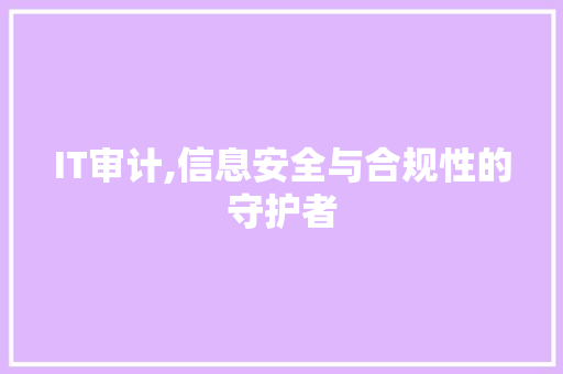 IT审计,信息安全与合规性的守护者