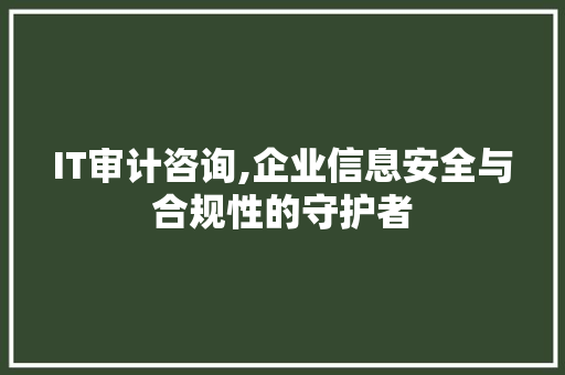 IT审计咨询,企业信息安全与合规性的守护者