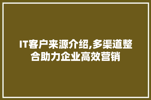 IT客户来源介绍,多渠道整合助力企业高效营销
