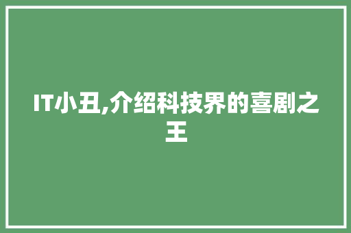 IT小丑,介绍科技界的喜剧之王