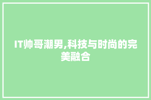 IT帅哥潮男,科技与时尚的完美融合
