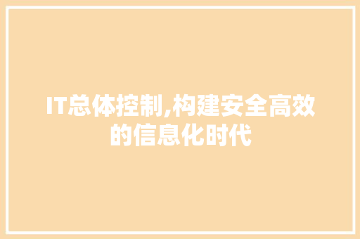 IT总体控制,构建安全高效的信息化时代