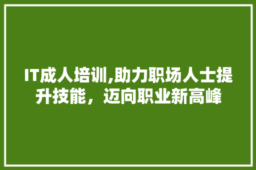 IT成人培训,助力职场人士提升技能，迈向职业新高峰
