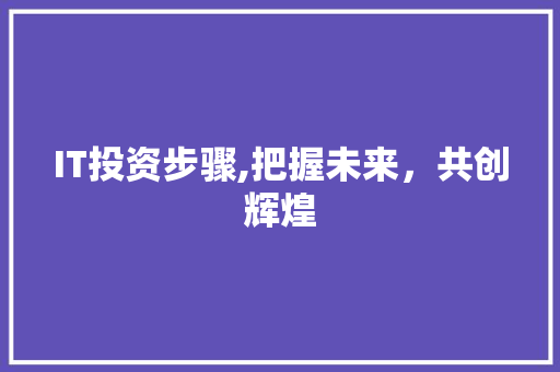 IT投资步骤,把握未来，共创辉煌