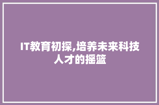 IT教育初探,培养未来科技人才的摇篮