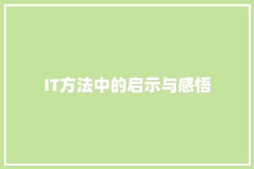 IT方法中的启示与感悟