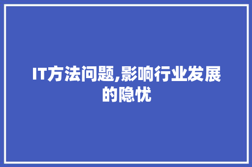 IT方法问题,影响行业发展的隐忧