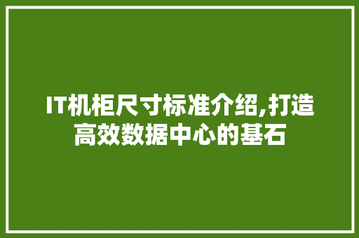 IT机柜尺寸标准介绍,打造高效数据中心的基石