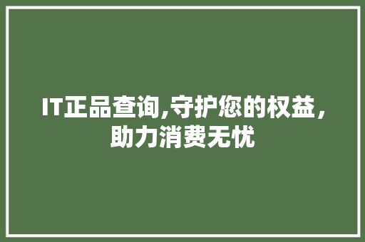 IT正品查询,守护您的权益，助力消费无忧