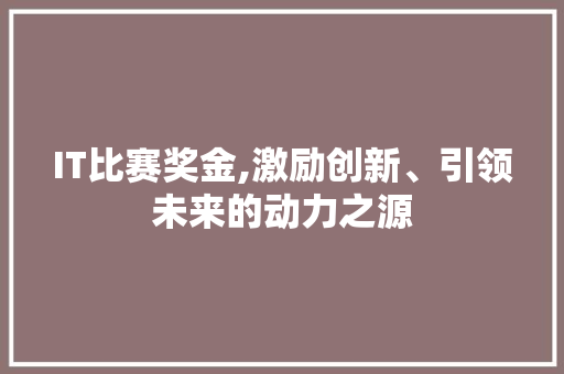 IT比赛奖金,激励创新、引领未来的动力之源