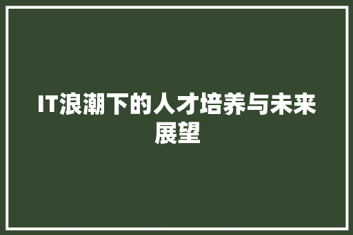 IT浪潮下的人才培养与未来展望