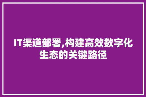 IT渠道部署,构建高效数字化生态的关键路径