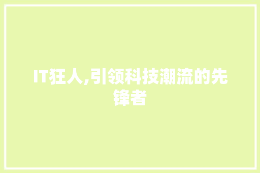 IT狂人,引领科技潮流的先锋者