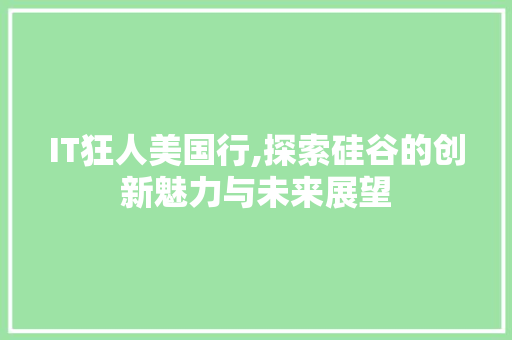 IT狂人美国行,探索硅谷的创新魅力与未来展望