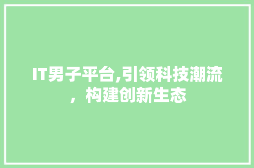 IT男子平台,引领科技潮流，构建创新生态