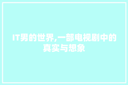 IT男的世界,一部电视剧中的真实与想象