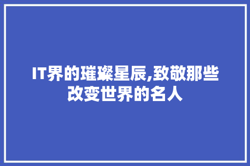 IT界的璀璨星辰,致敬那些改变世界的名人