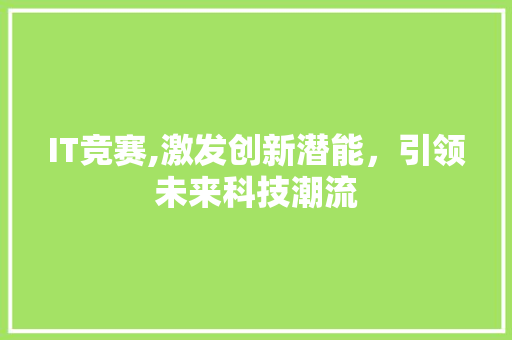 IT竞赛,激发创新潜能，引领未来科技潮流