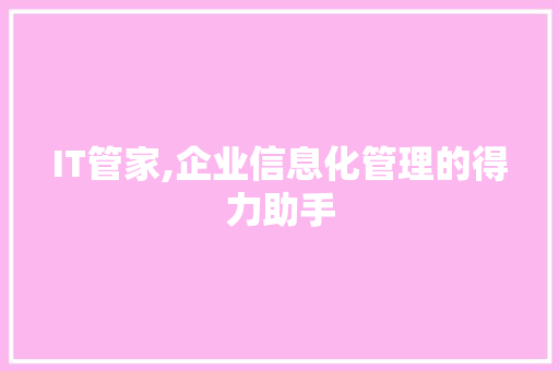 IT管家,企业信息化管理的得力助手