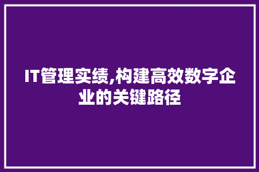 IT管理实绩,构建高效数字企业的关键路径