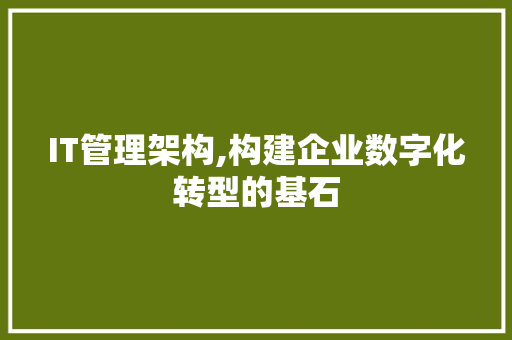 IT管理架构,构建企业数字化转型的基石