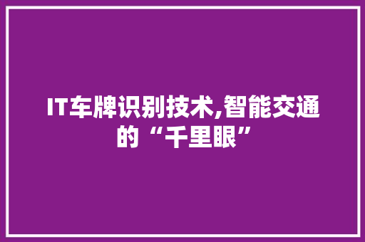 IT车牌识别技术,智能交通的“千里眼”