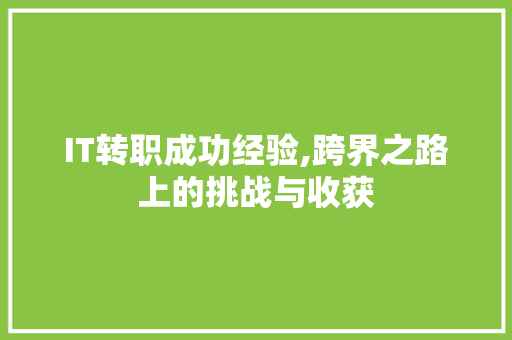 IT转职成功经验,跨界之路上的挑战与收获