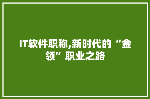 IT软件职称,新时代的“金领”职业之路