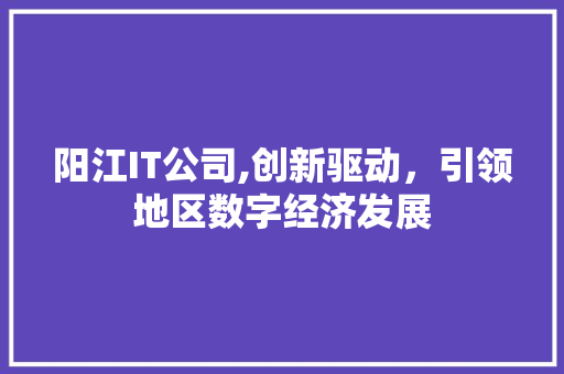阳江IT公司,创新驱动，引领地区数字经济发展