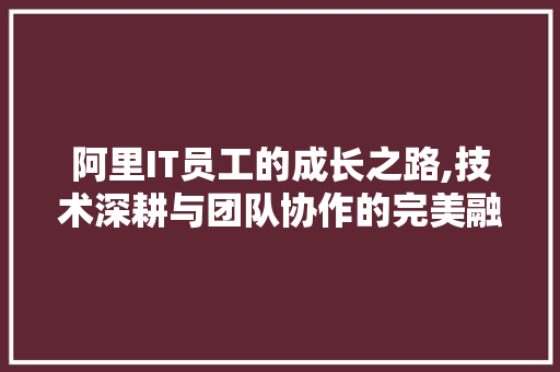 阿里IT员工的成长之路,技术深耕与团队协作的完美融合