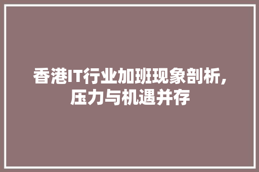 香港IT行业加班现象剖析,压力与机遇并存