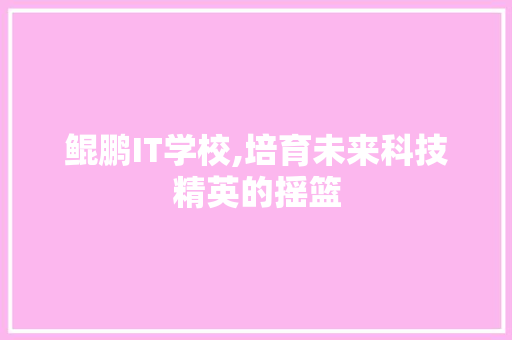 鲲鹏IT学校,培育未来科技精英的摇篮