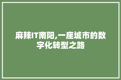 麻辣IT南阳,一座城市的数字化转型之路