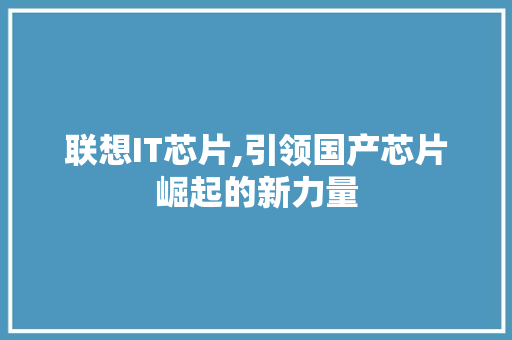 联想IT芯片,引领国产芯片崛起的新力量