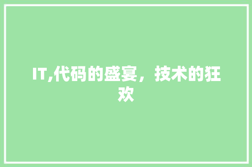 IT,代码的盛宴，技术的狂欢