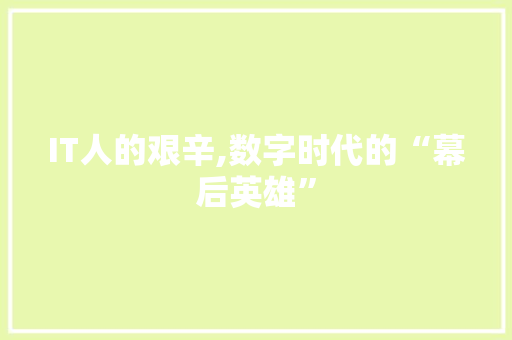 IT人的艰辛,数字时代的“幕后英雄”