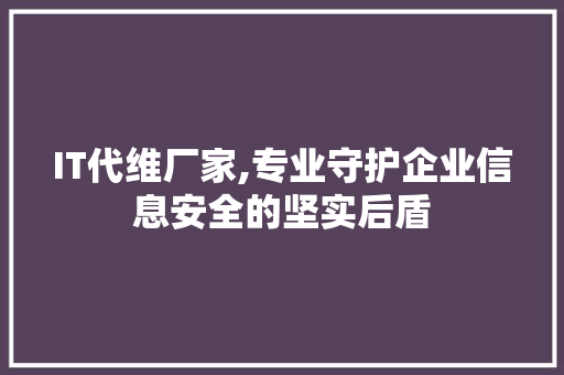 IT代维厂家,专业守护企业信息安全的坚实后盾