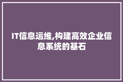 IT信息运维,构建高效企业信息系统的基石