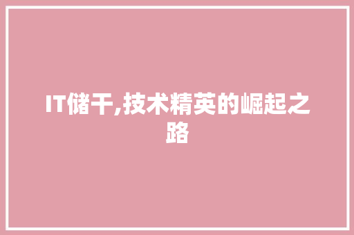 IT储干,技术精英的崛起之路