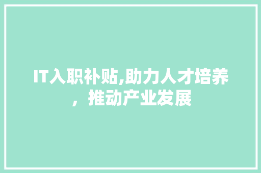 IT入职补贴,助力人才培养，推动产业发展