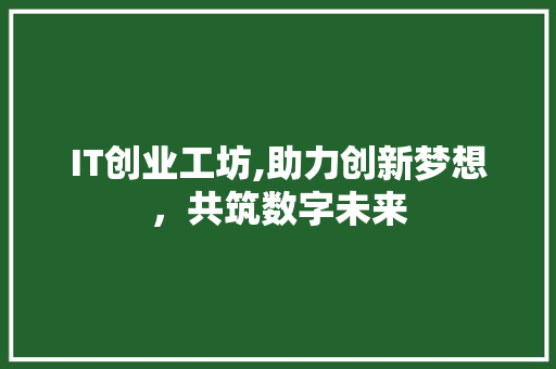 IT创业工坊,助力创新梦想，共筑数字未来