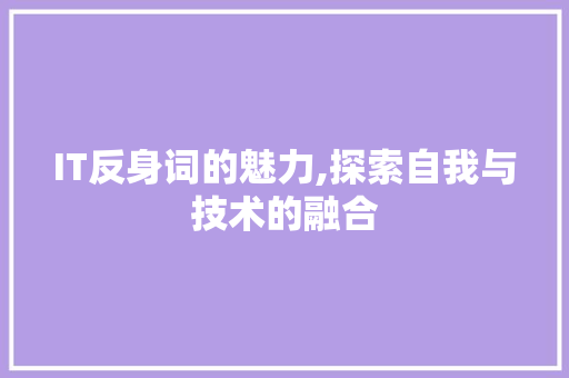 IT反身词的魅力,探索自我与技术的融合