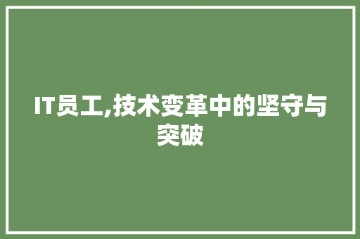 IT员工,技术变革中的坚守与突破