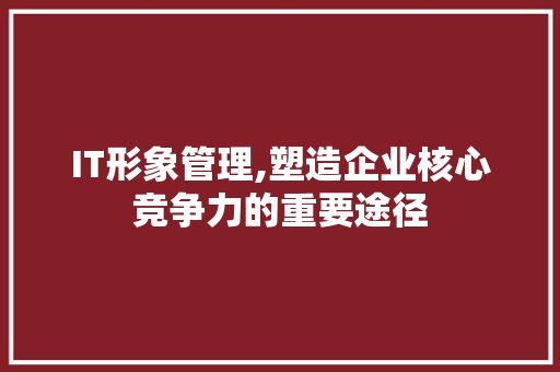 IT形象管理,塑造企业核心竞争力的重要途径