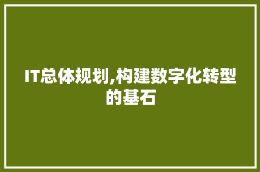 IT总体规划,构建数字化转型的基石