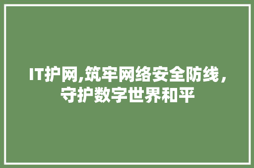 IT护网,筑牢网络安全防线，守护数字世界和平