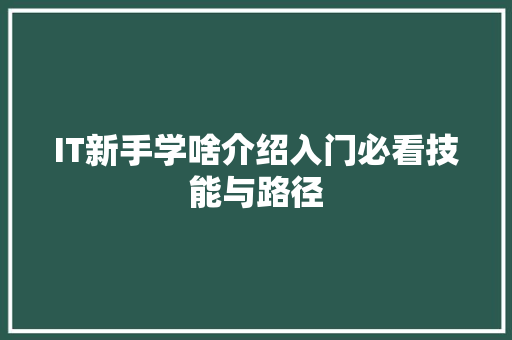 IT新手学啥介绍入门必看技能与路径